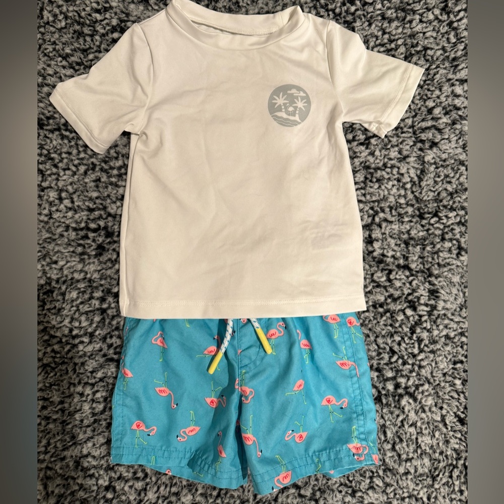 12M Cat and Jack bathing suit